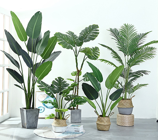 沈陽(yáng)仿真植物好打理嗎?